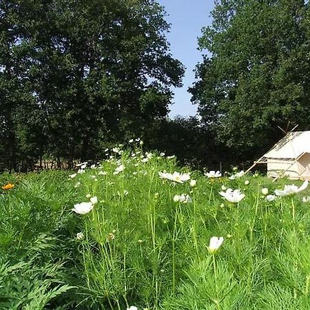 ホテルFerme De La Marliere Saint-Vincent-en-Bresse エクステリア 写真